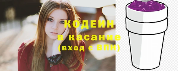 мет Елизово