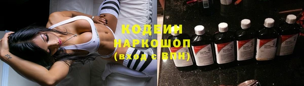 не бодяженный Заводоуковск